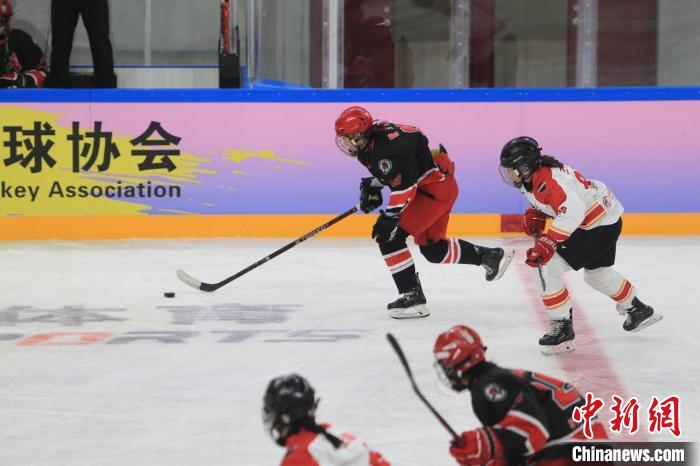 哈尔滨体育学院承办的2024-2025中国女子冰球职业